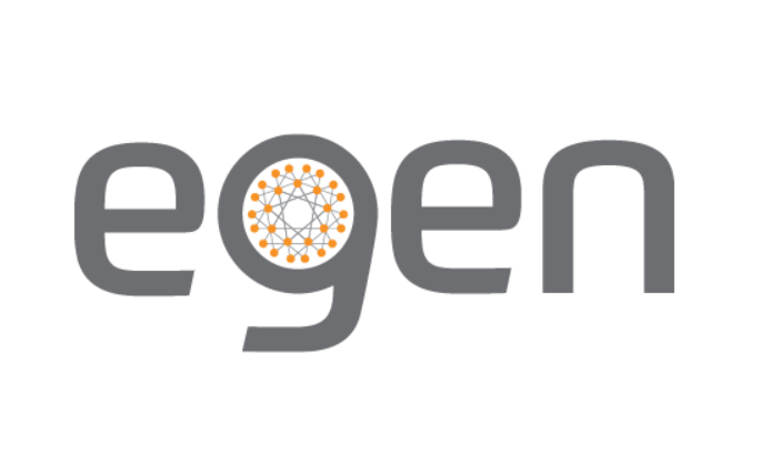 Business Operations and Accounting Positions at Egen Solutions